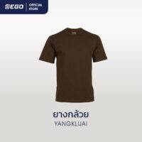 TT-011 ยางกล้วย